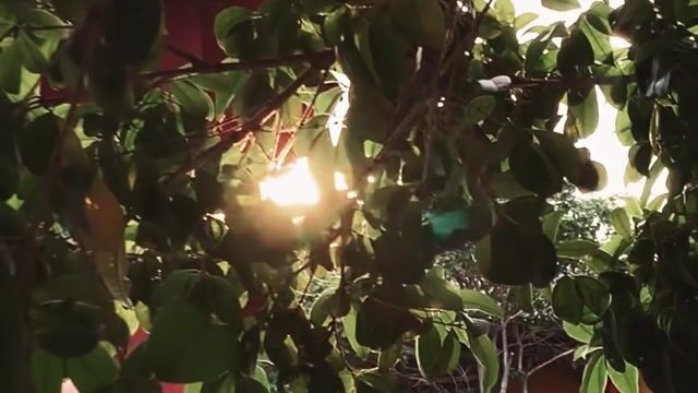 普愿禅寺