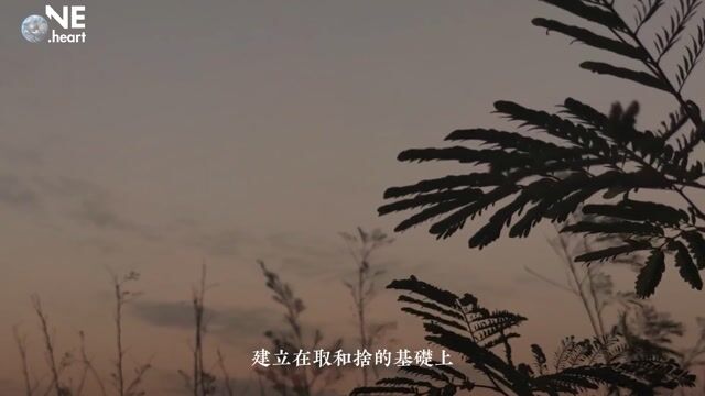 如何获得自由——万行法师