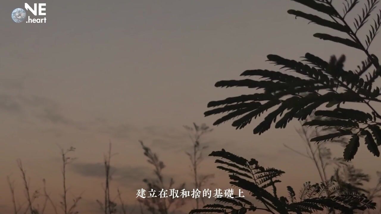 如何获得自由——万行法师
