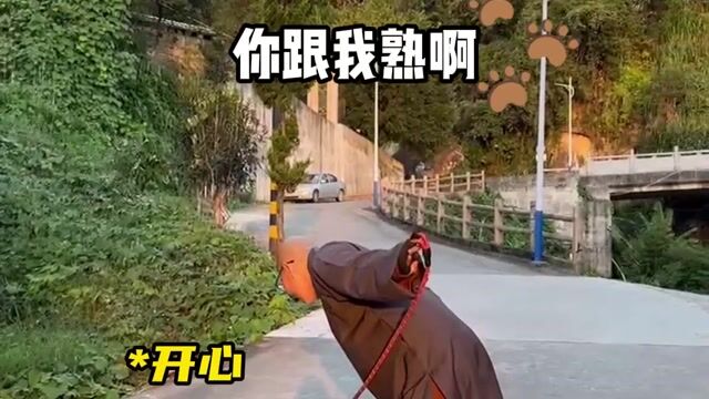 福州云游-流浪动物不解之缘——真严法师