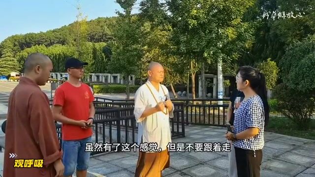 观呼吸