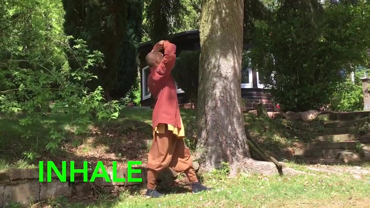 7分钟-简易调息法-欧洲少林寺 释恒义