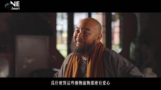 人和动物在国际和国内保护的重要性？—万行法师
