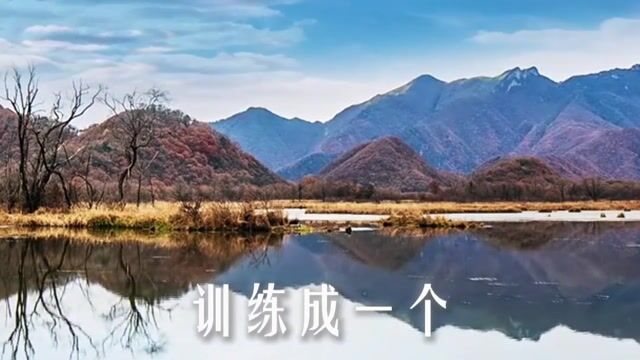 向内观照，并不仅仅只是在心里自问自答