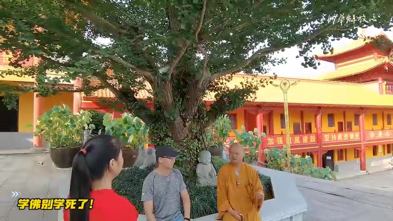 学佛别学死了！