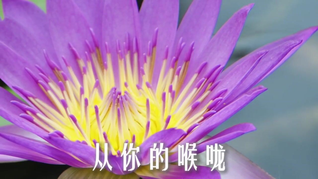 打坐时一定要注意这3个基本功