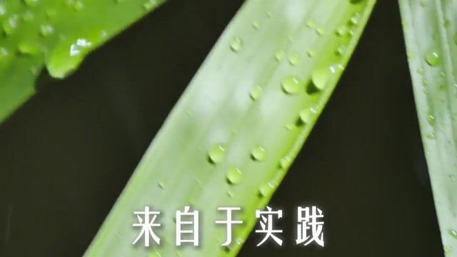 通过头脑的思考能不能获得确定的答案？