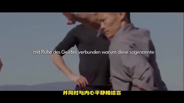 欧洲少林寺掌门人用德语宣传东方文化