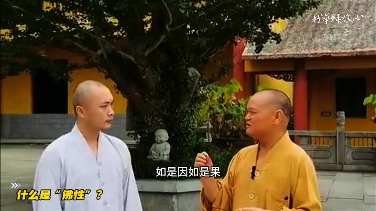 什么是佛性？