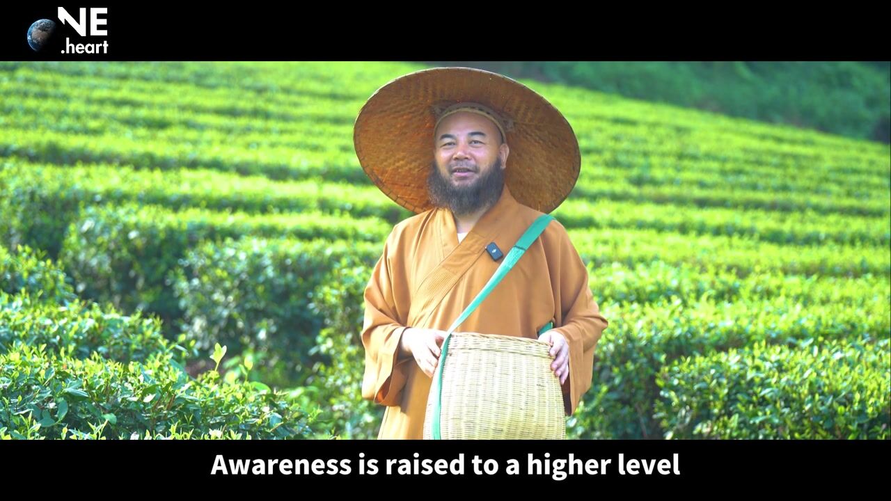 什么是灵修？——万行法师