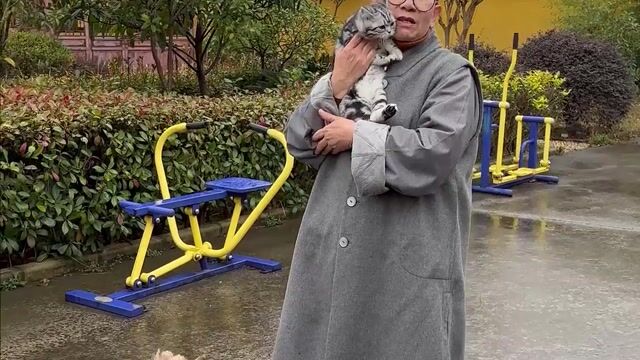 很荣幸遇到这群毛孩子们——真严法师