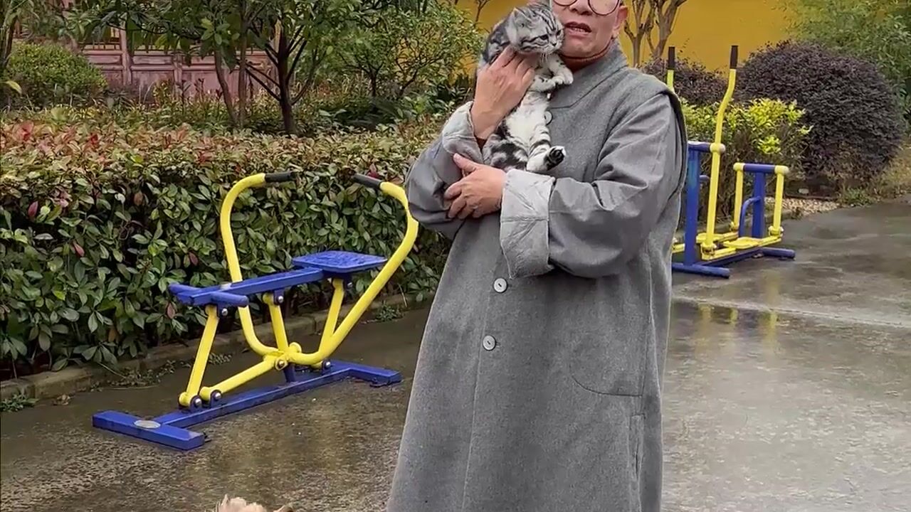 很荣幸遇到这群毛孩子们——真严法师