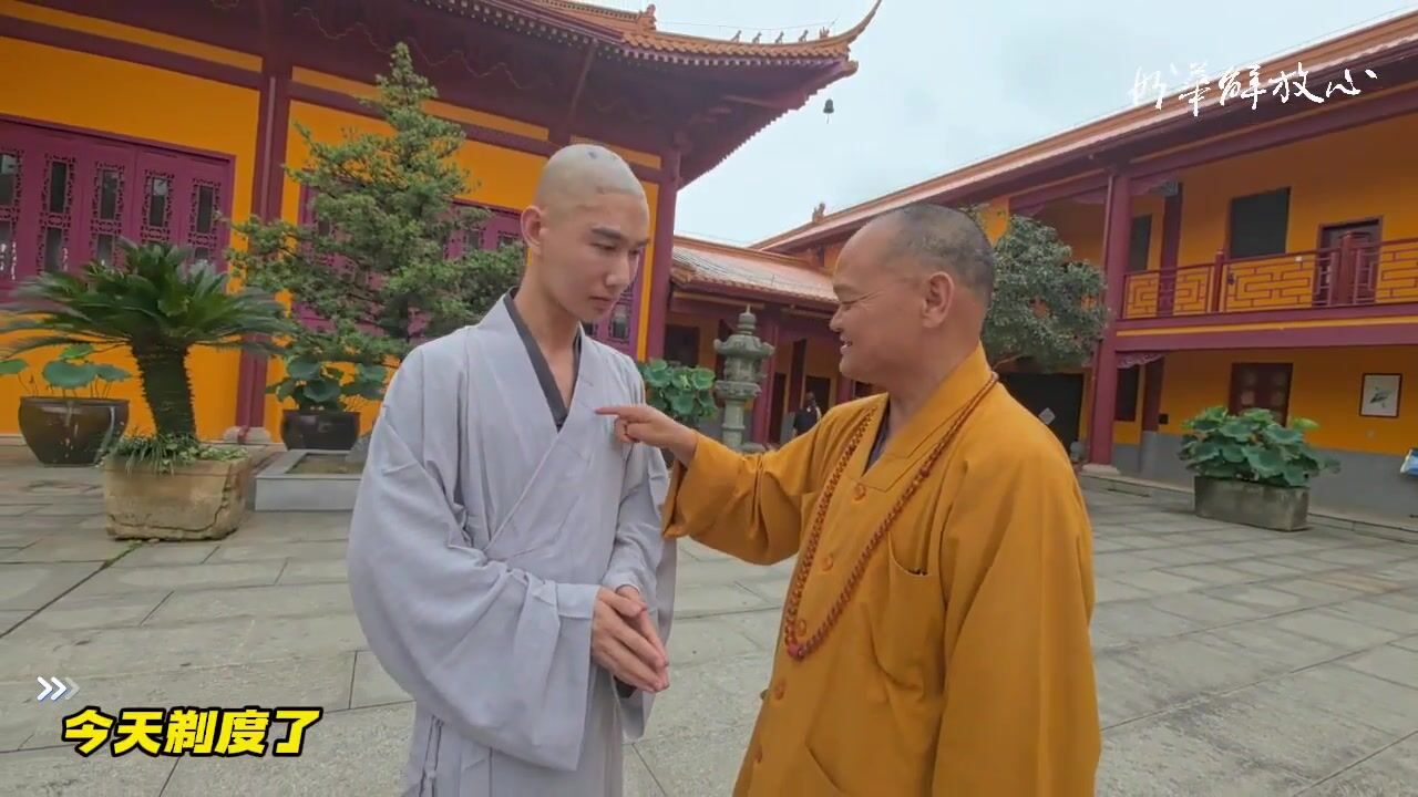今天剃度了