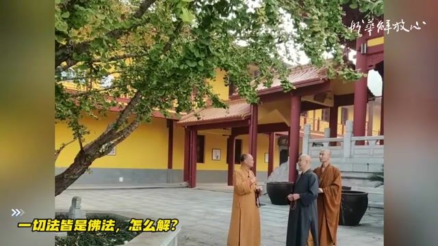 一切法皆是佛法，怎么解？
