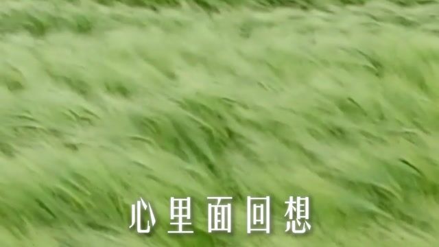 千万不要反复咀嚼别人对你的伤害
