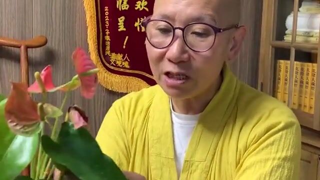 与段婆婆相识的故事——真严法师