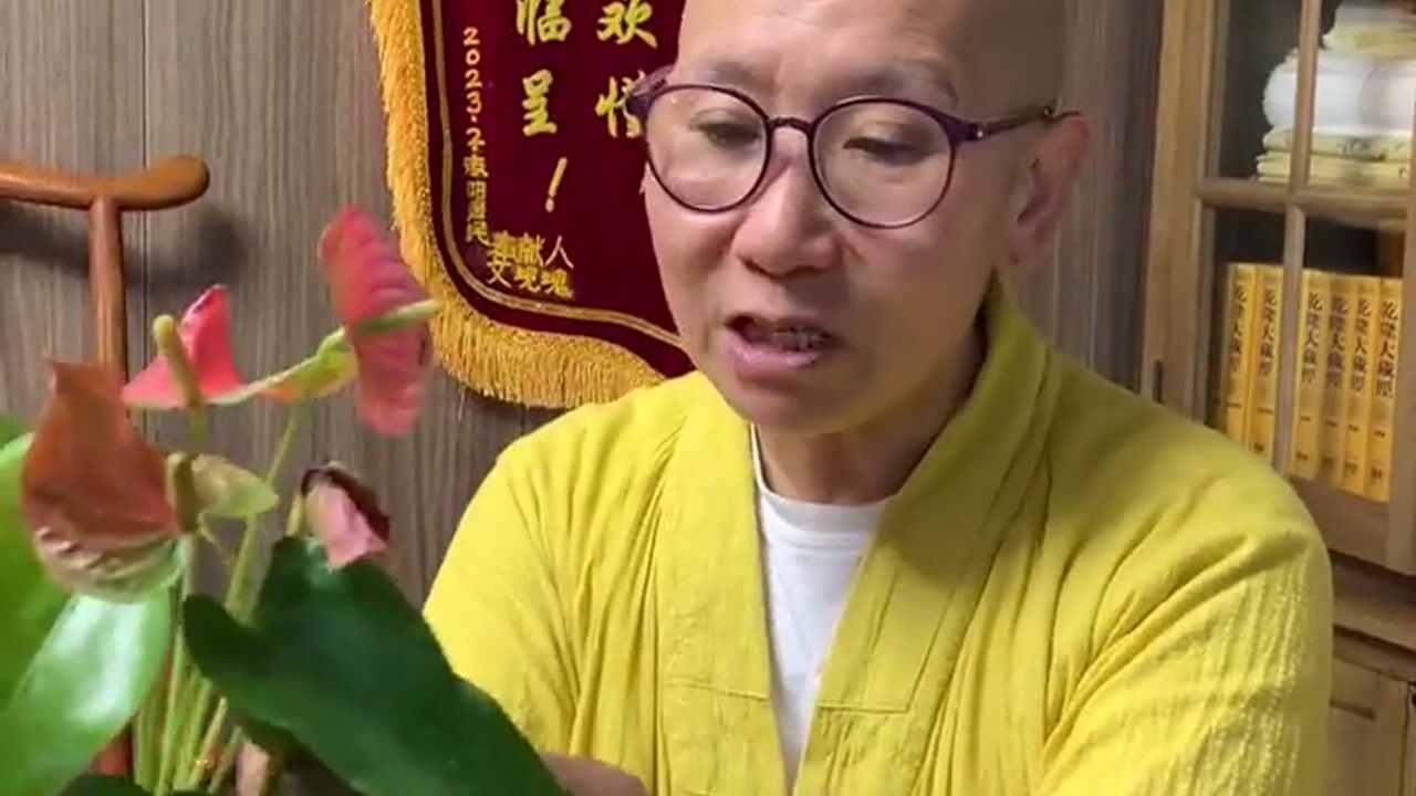 与段婆婆相识的故事——真严法师