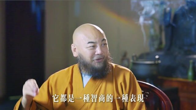 很多临终的人都会描述“看到光、亲人”，这些画面在不同文化里都惊人相似。您觉得这种现象是真实还是幻觉？——万行法师