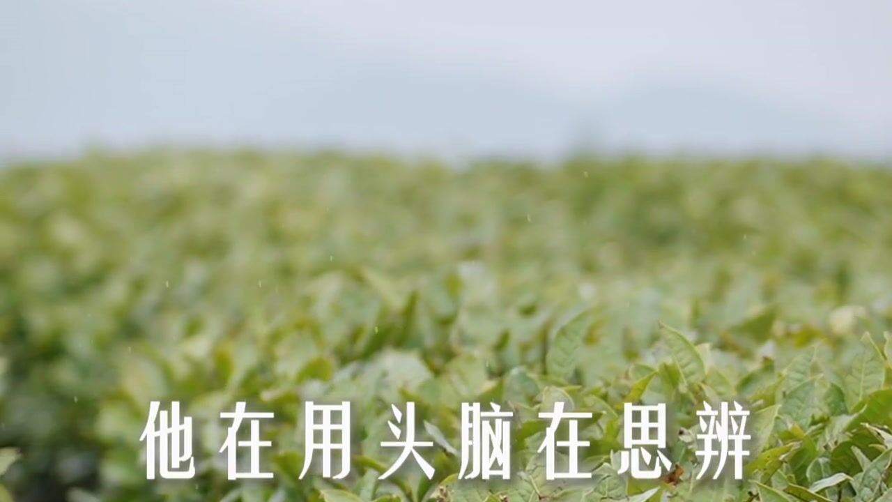 理解真理，不能只停留于文字和语言