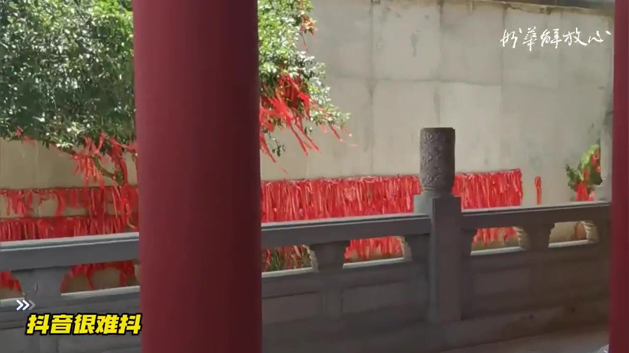 抖音很难抖