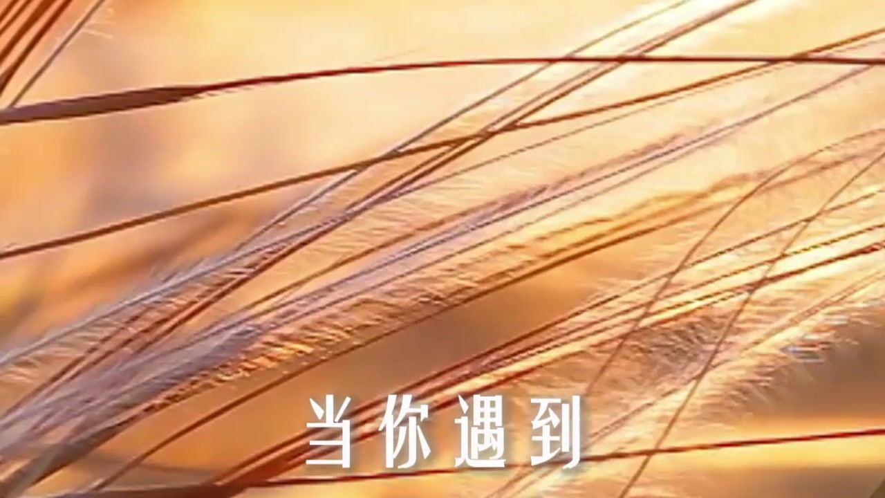 永远不要美化那条你未走过的路