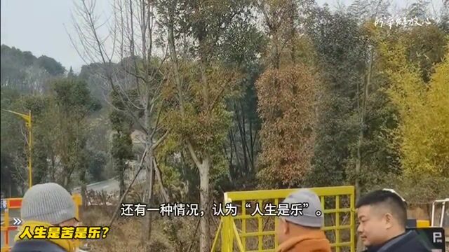 人生是苦还是乐？