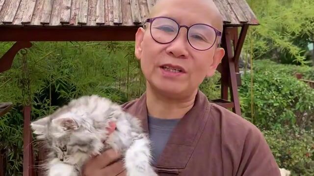 宠物问答-什么样的猫长寿呢？——真严法师