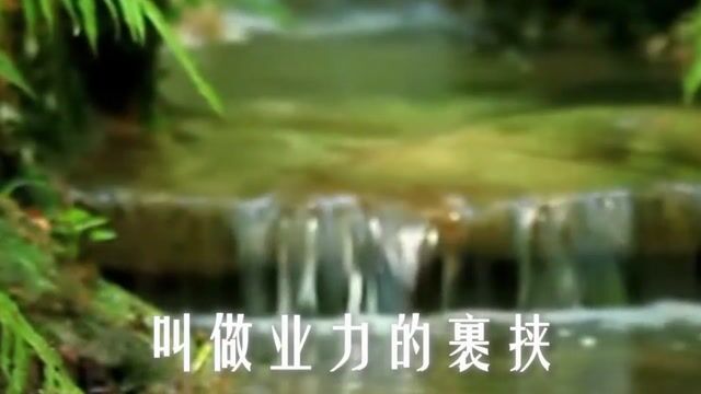 为什么要发愿？愿力真的可以大过业力吗？
