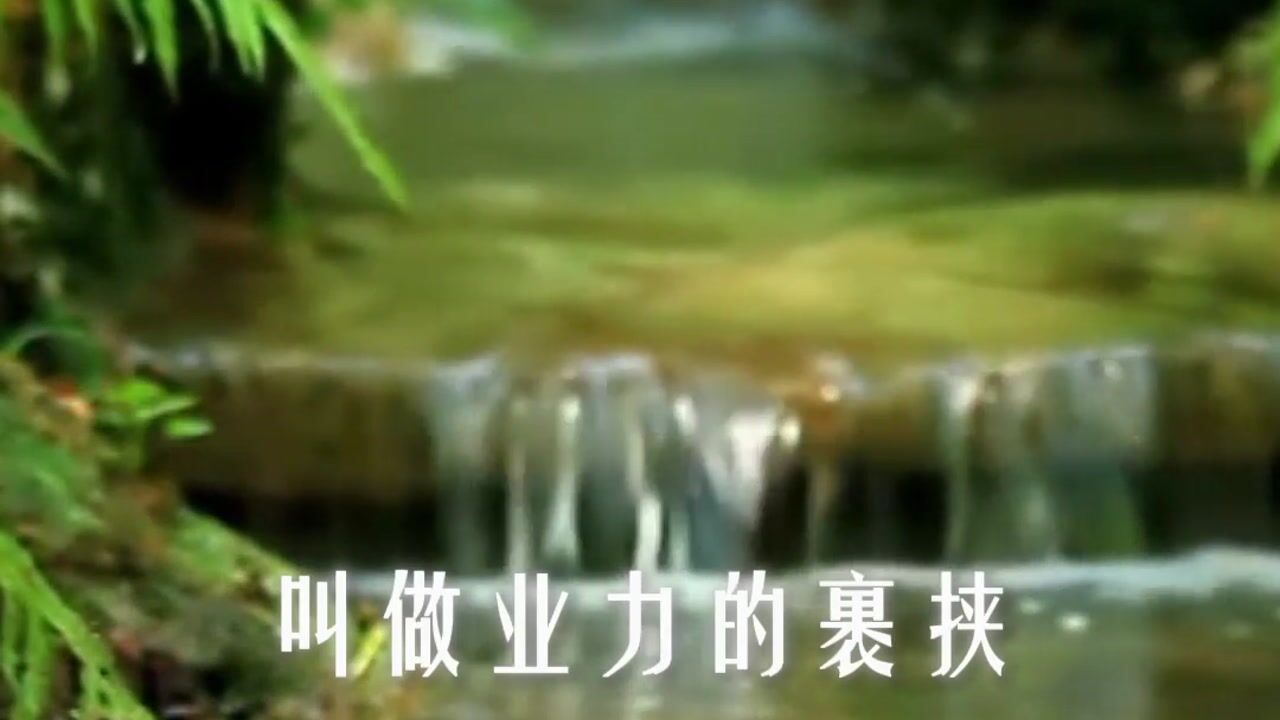 为什么要发愿？愿力真的可以大过业力吗？