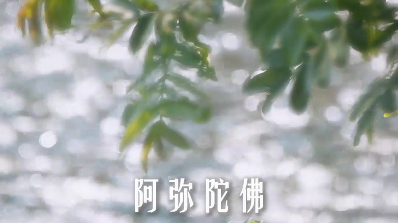 念哪种佛号的功德最大？