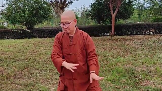 太极｜真严法师