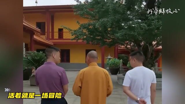 活着就是一场冒险