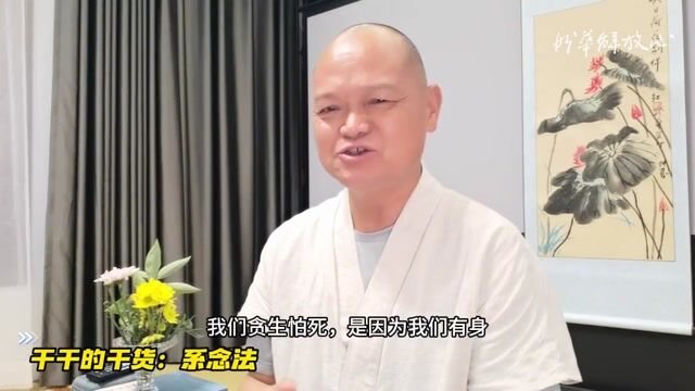 干货：系念法——妙华法师