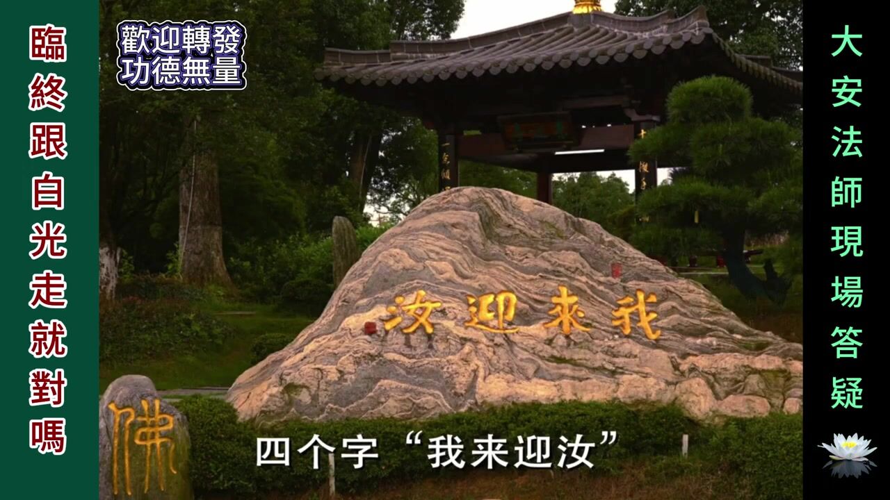 臨命終跟白光走就對了嗎？-大安法師現場答疑
