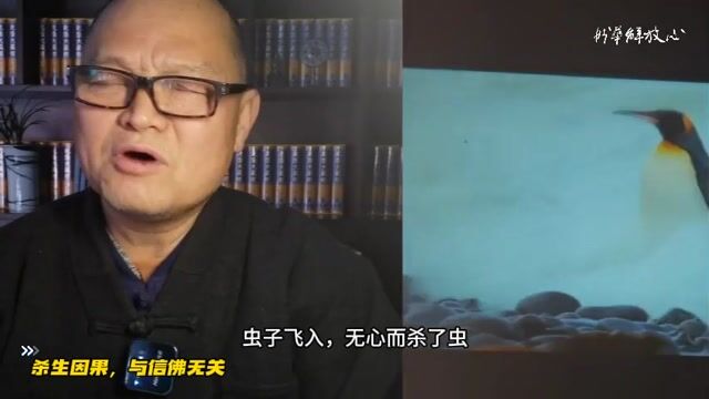 杀生因果，与信佛无关