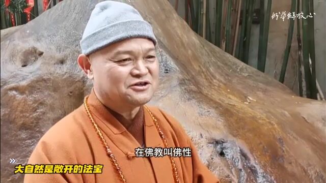 大自然是敞开的法宝——妙华法师