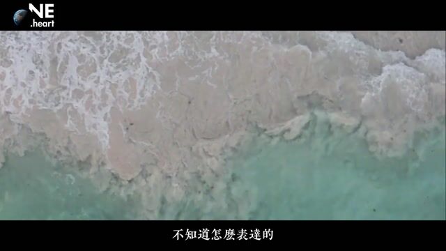 弘法的精神——万行法师