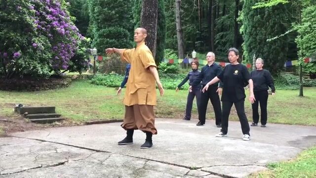 易筋經 · Yi Jin Jing (Muscle Tendon Change Classic) Qi Gong