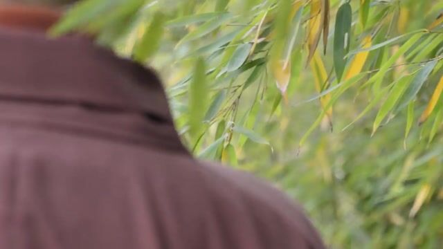 禅衣的秘密——真严法师