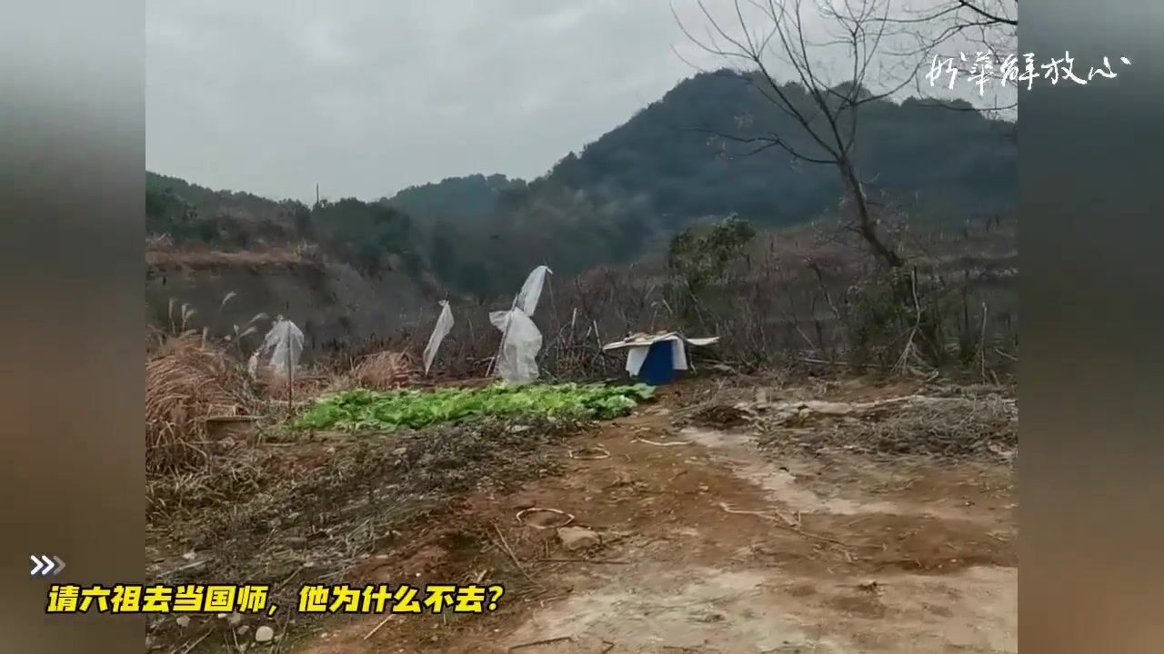 请六祖去当国师，他为什么不去？