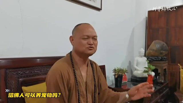 信佛人可以养宠物吗？