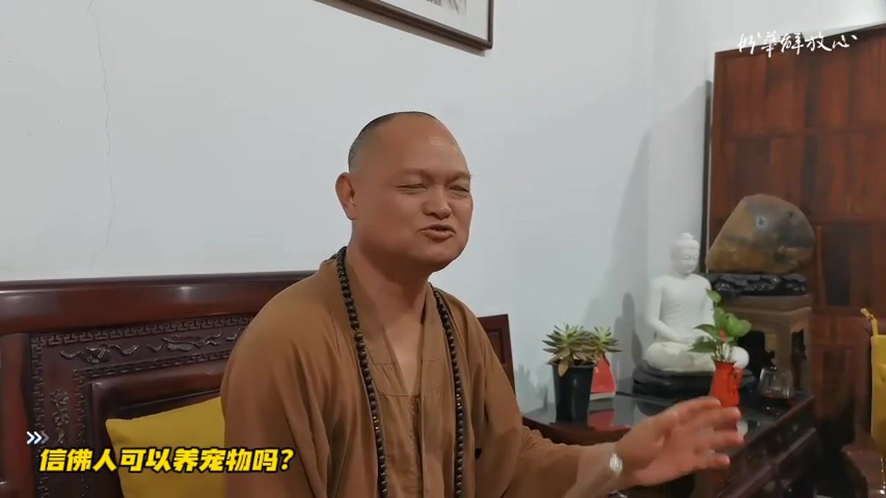 信佛人可以养宠物吗？
