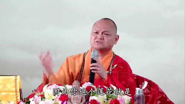 妙华法师 解悟华严6