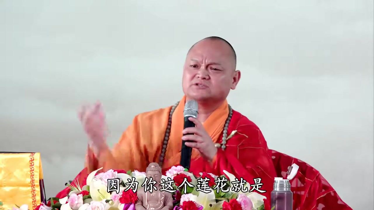 妙华法师 解悟华严6
