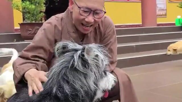 普愿禅寺介绍
