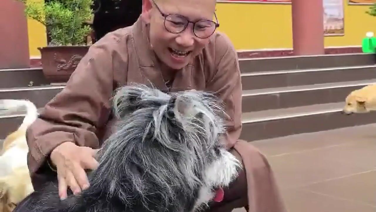 普愿禅寺介绍