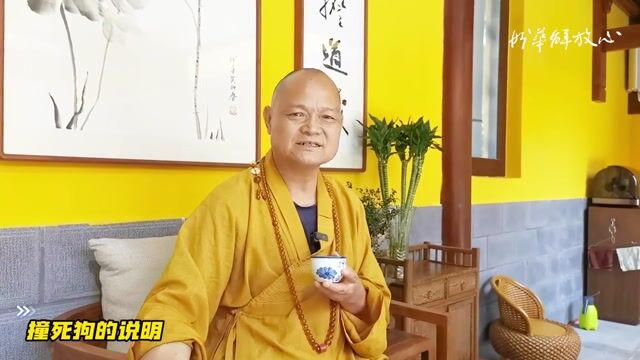 撞死狗的说明