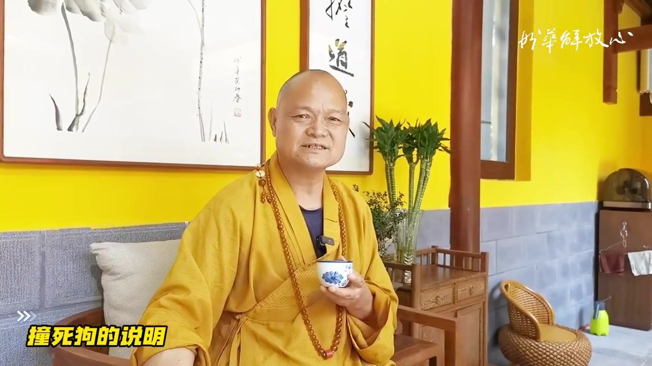 撞死狗的说明