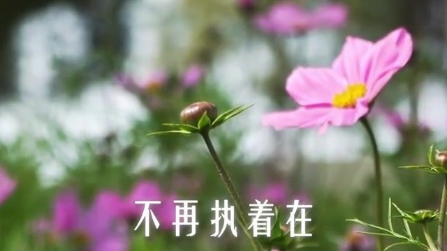 如何才能做到见相而离相？