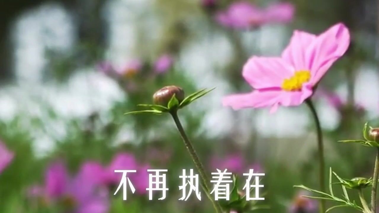 如何才能做到见相而离相？
